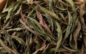 Feuille de kinkeliba