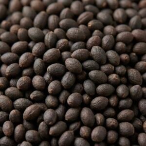 Graines de basilic africain